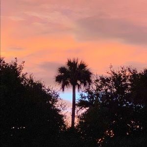 Meet your Posher, Marcia